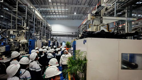 秋假啟航，長虹雙創園打造工業科技研學新標桿 信息技術的深度開發之旅